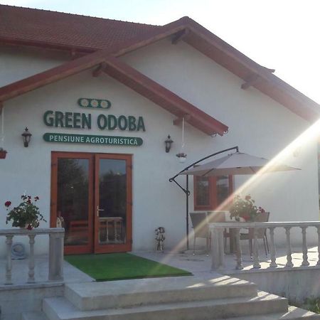 Pensiunea Agroturistica Green Odoba Sătuc المظهر الخارجي الصورة