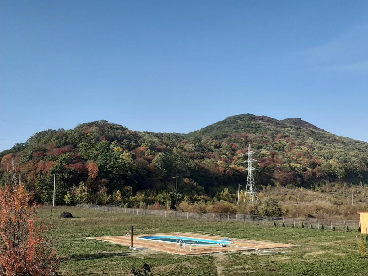 Pensiunea Agroturistica Green Odoba Sătuc المظهر الخارجي الصورة