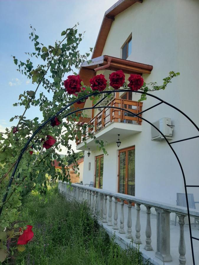 Pensiunea Agroturistica Green Odoba Sătuc المظهر الخارجي الصورة