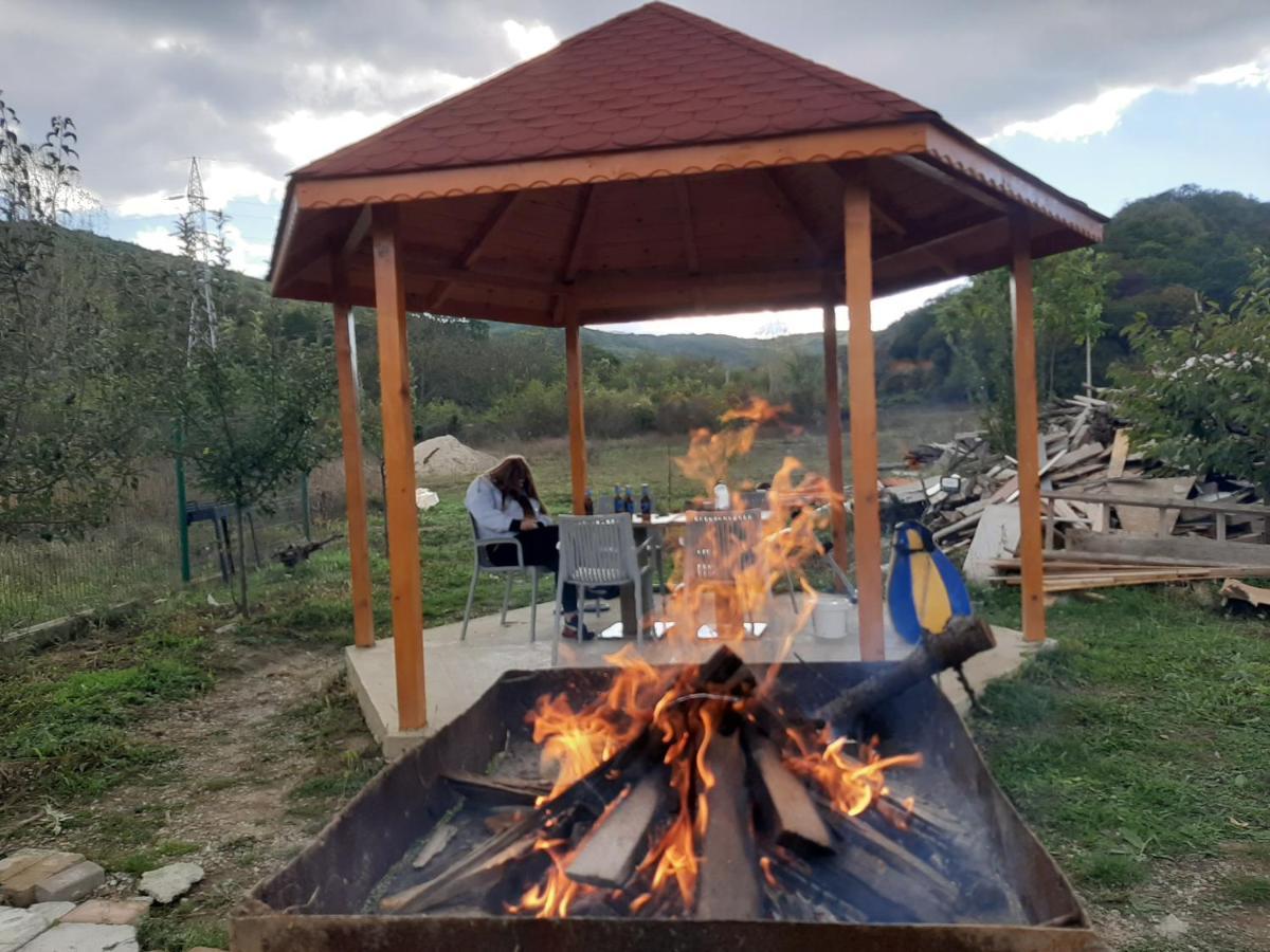 Pensiunea Agroturistica Green Odoba Sătuc المظهر الخارجي الصورة