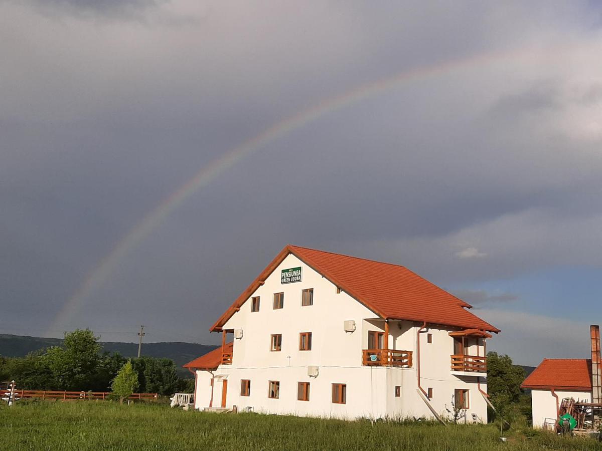 Pensiunea Agroturistica Green Odoba Sătuc المظهر الخارجي الصورة