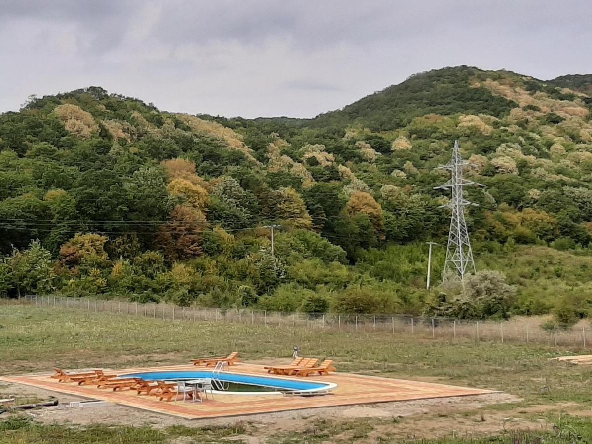 Pensiunea Agroturistica Green Odoba Sătuc المظهر الخارجي الصورة