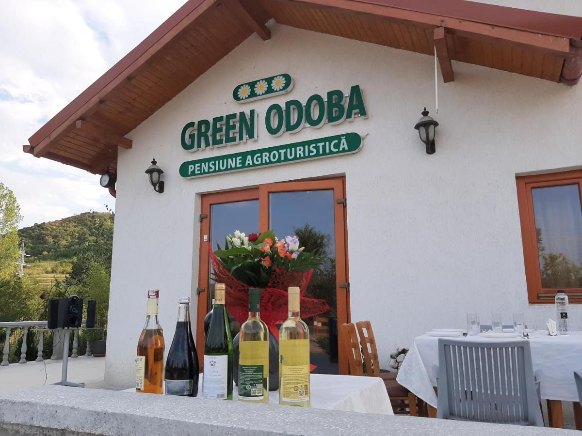 Pensiunea Agroturistica Green Odoba Sătuc المظهر الخارجي الصورة
