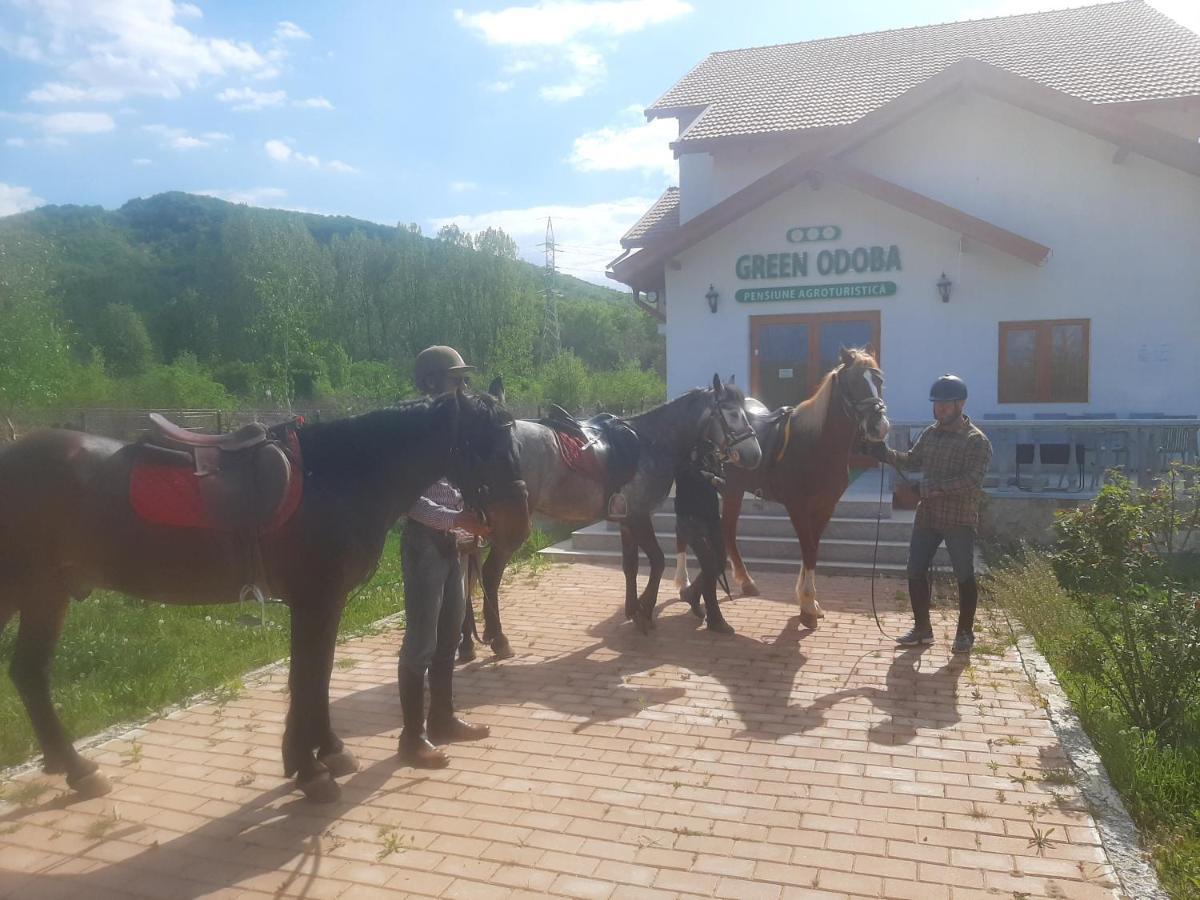 Pensiunea Agroturistica Green Odoba Sătuc المظهر الخارجي الصورة