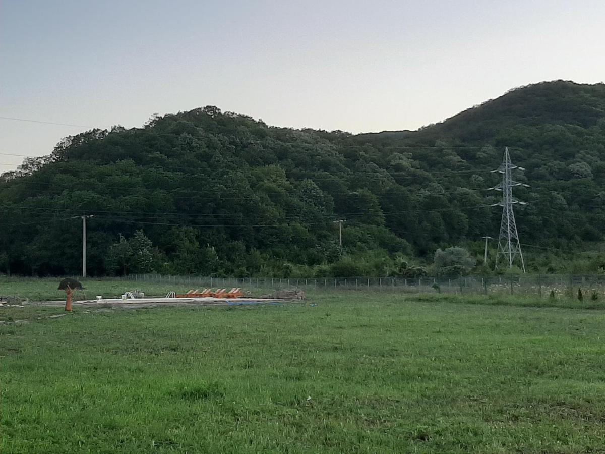 Pensiunea Agroturistica Green Odoba Sătuc المظهر الخارجي الصورة