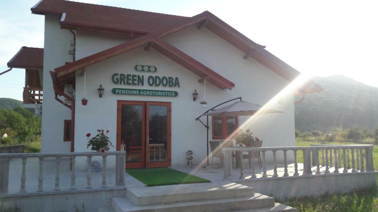 Pensiunea Agroturistica Green Odoba Sătuc المظهر الخارجي الصورة
