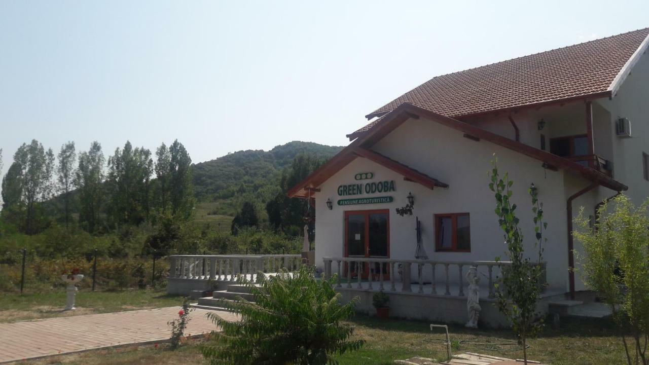 Pensiunea Agroturistica Green Odoba Sătuc المظهر الخارجي الصورة