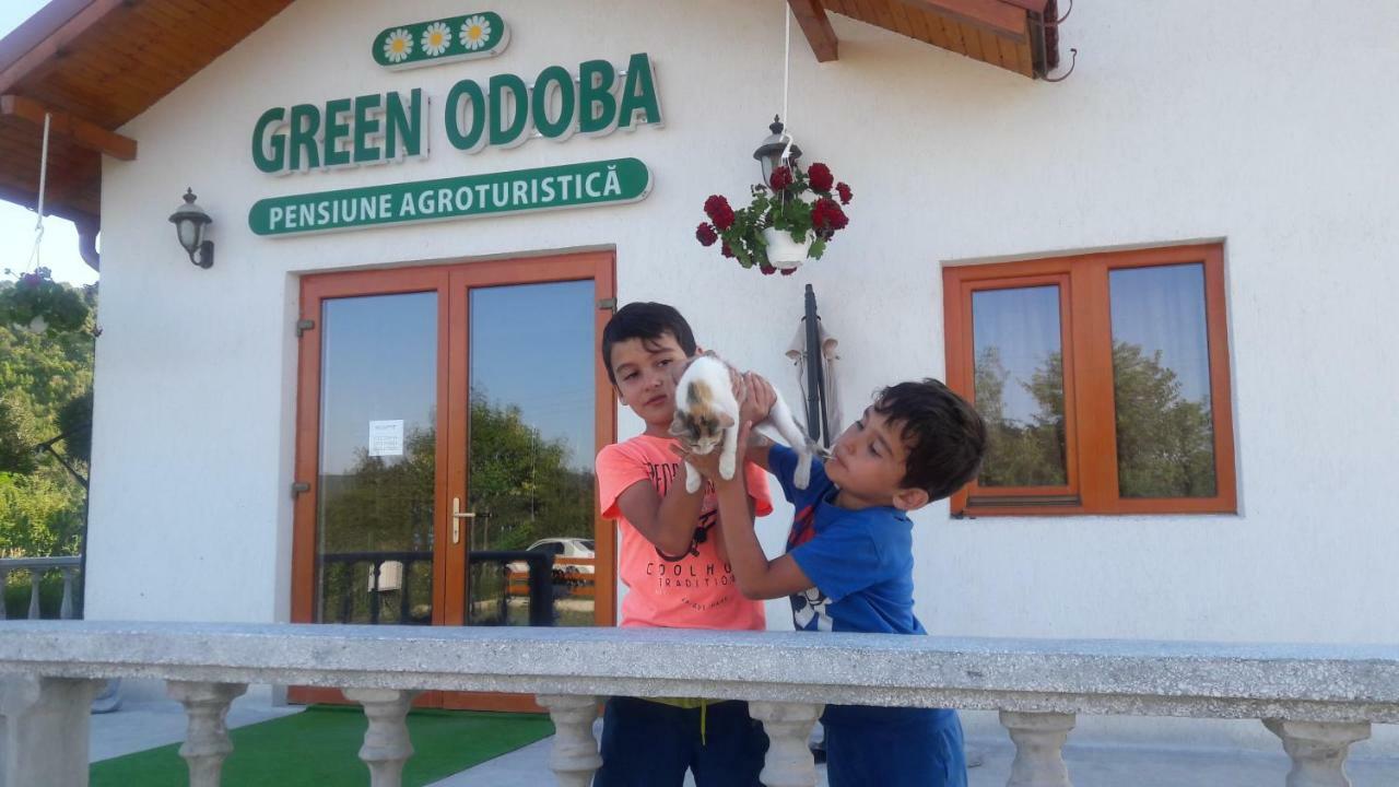 Pensiunea Agroturistica Green Odoba Sătuc المظهر الخارجي الصورة